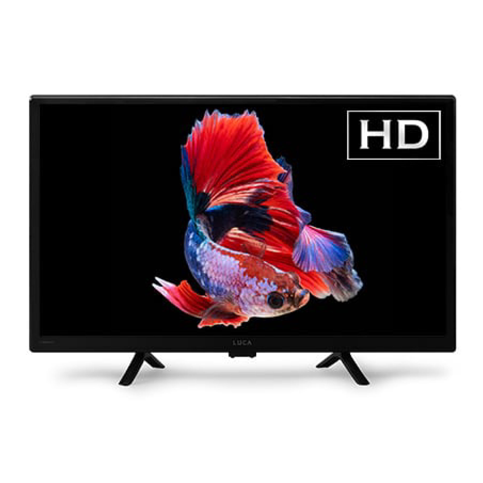 液晶ﾃﾚﾋﾞ 24V型【ﾒｰｶｰ直送品
