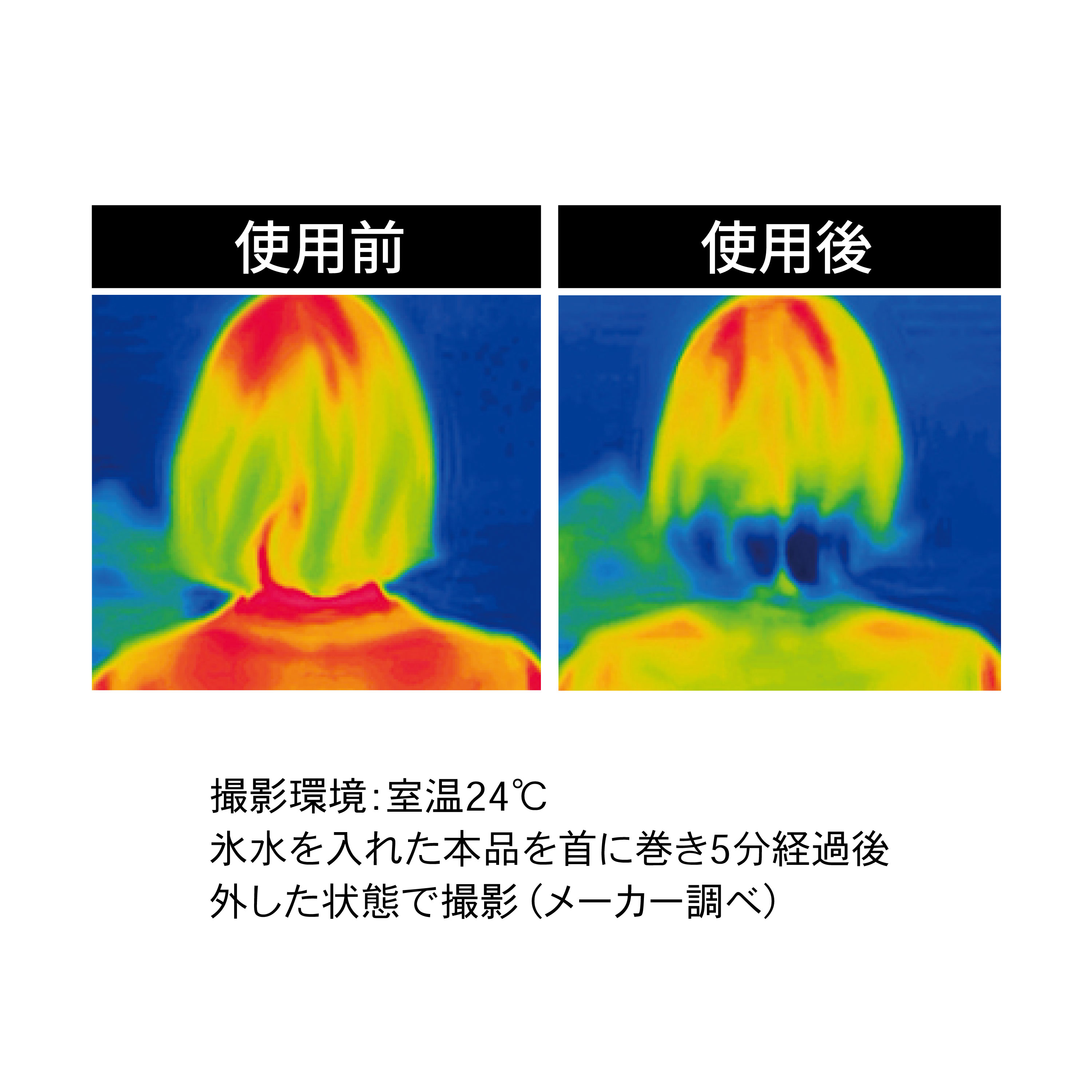 冷え冷え手ぶら氷のう【別送料1000円
