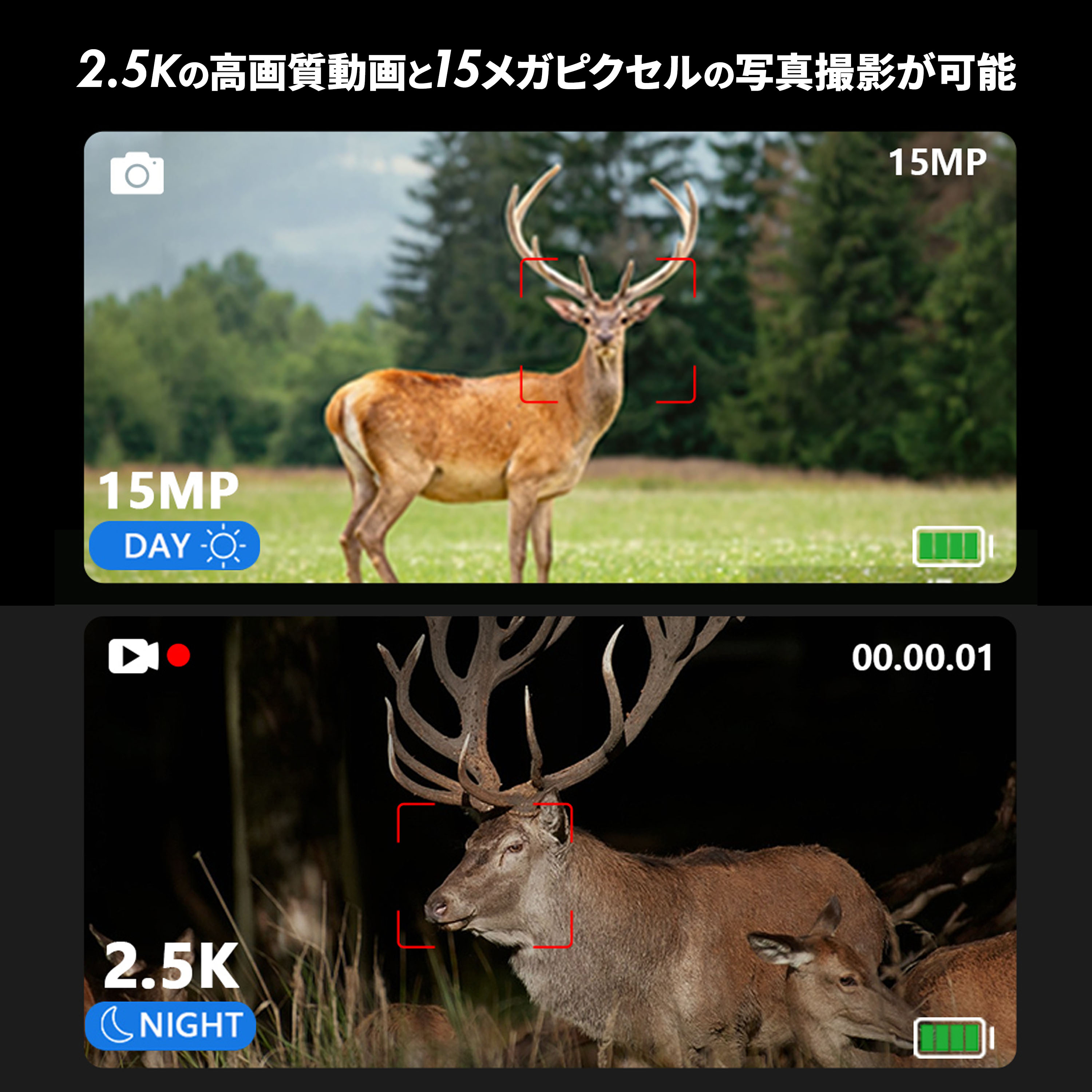 ﾅｲﾄﾊﾝﾀｰ S【ﾒｰｶｰ直送品/ﾒｰｶｰ送料1000円